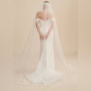Amsale Nouvelle BHLDN Cadie Cathedral Veil